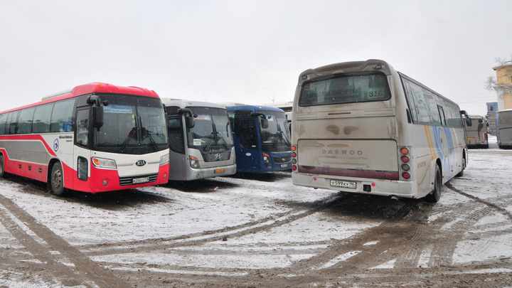 На Урале с маленьких детей стали требовать плату за проезд в междугородных автобусах