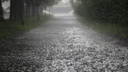 Движение в сторону осени: до конца недели в Поморье сохранятся дожди