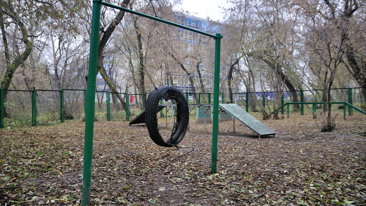 Парки и скверы Екатеринбурга в конце месяца начнут обрабатывать от клещей