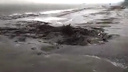 Очевидцы: «На пляже у "Ладьи" в Волгу спустили грязные стоки»