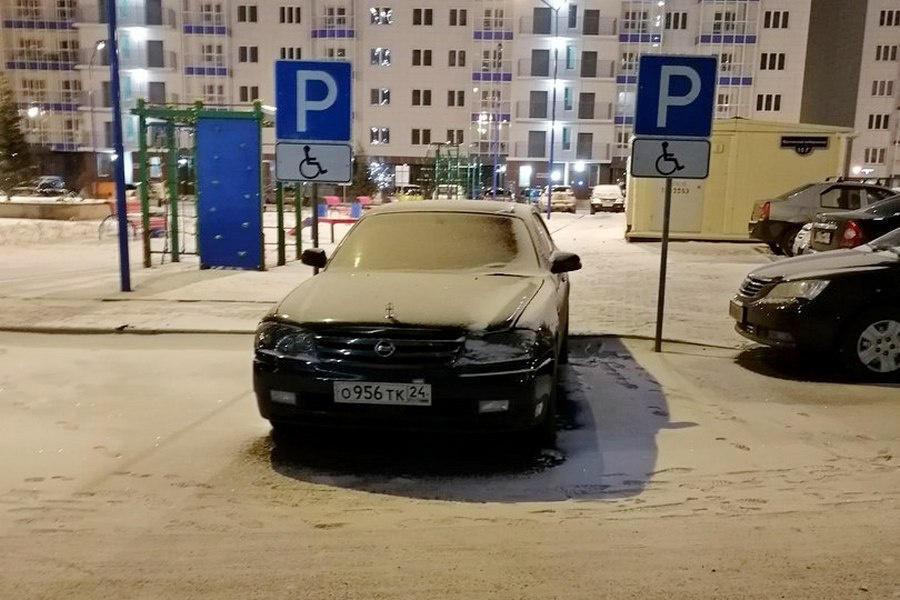 Инвалид Шредингера. Фото: Георгий Меладзе Инвалид Шредингера. Фото: Георгий Меладзе