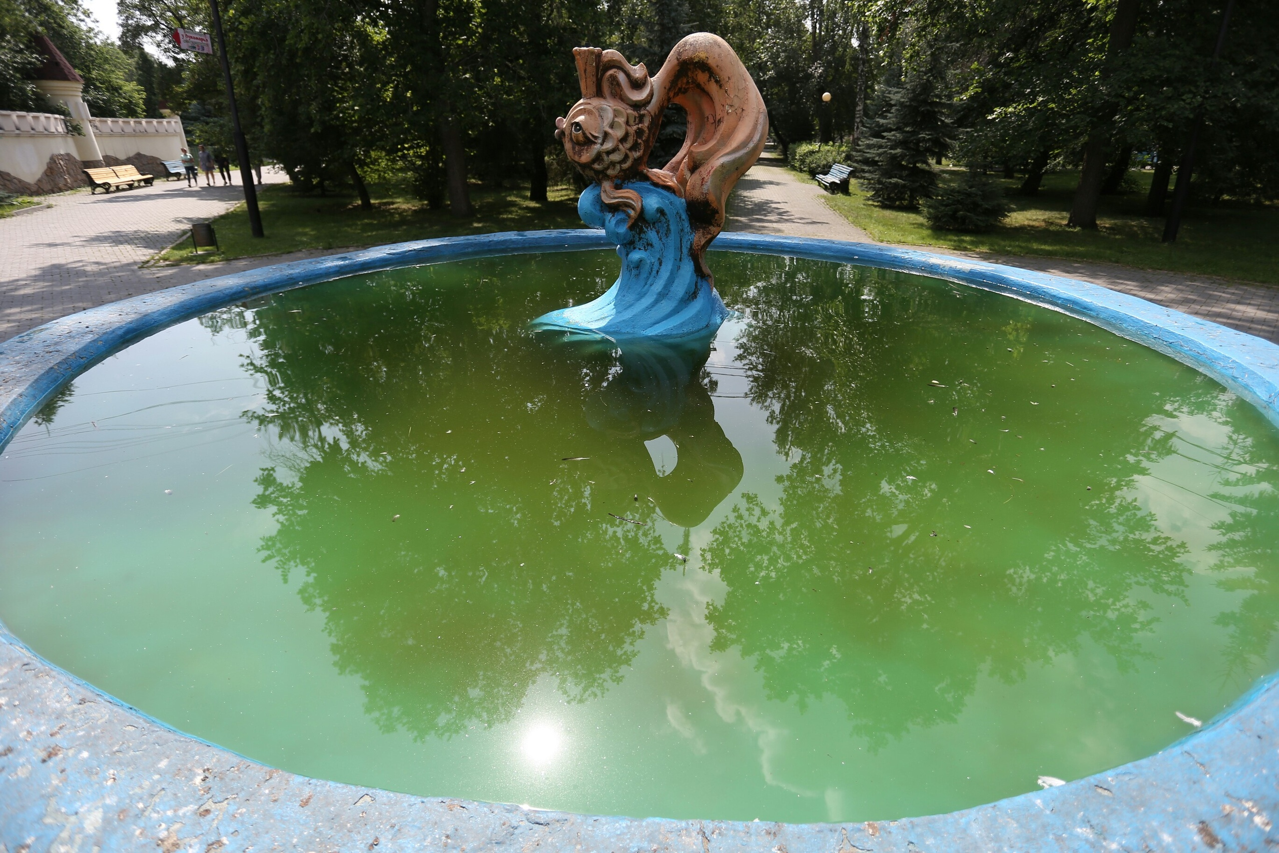 Зелёная вода явно не сочетается с голубой волной, на которой находится золотая рыбка Зелёная вода явно не сочетается с голубой волной, на которой находится золотая рыбка
