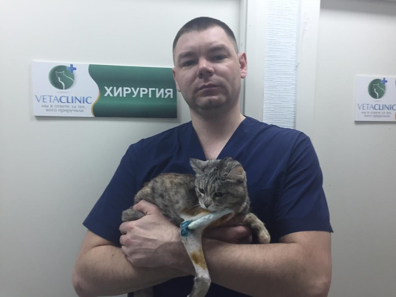 Геллу подобрали дети — они отнесли кошку в ближайшую клинику. На фото кошка с хирургом Алексеем Телятиным
