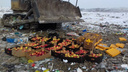 Польские яблоки и болгарские перцы уничтожили на полигоне в Красноярске