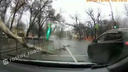 «Повезло так повезло»: в Ростове в метре перед джипом рухнуло дерево