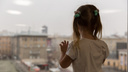 Облокотилась на москитную сетку: в Бердске из окна выпала пятилетняя девочка