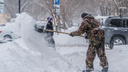 ГИС-центр ПГНИУ: нынешний январь в Перми станет самым снежным за всю историю наблюдений