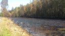 Власти проверили нефтяное озеро в Ярославле: результаты исследования
