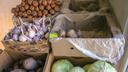 В Самарской области сняли с прилавков более 100 килограммов испорченных овощей