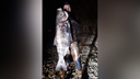 «Попал рыбе в лоб»: житель Самарской области поймал огромного толстолобика