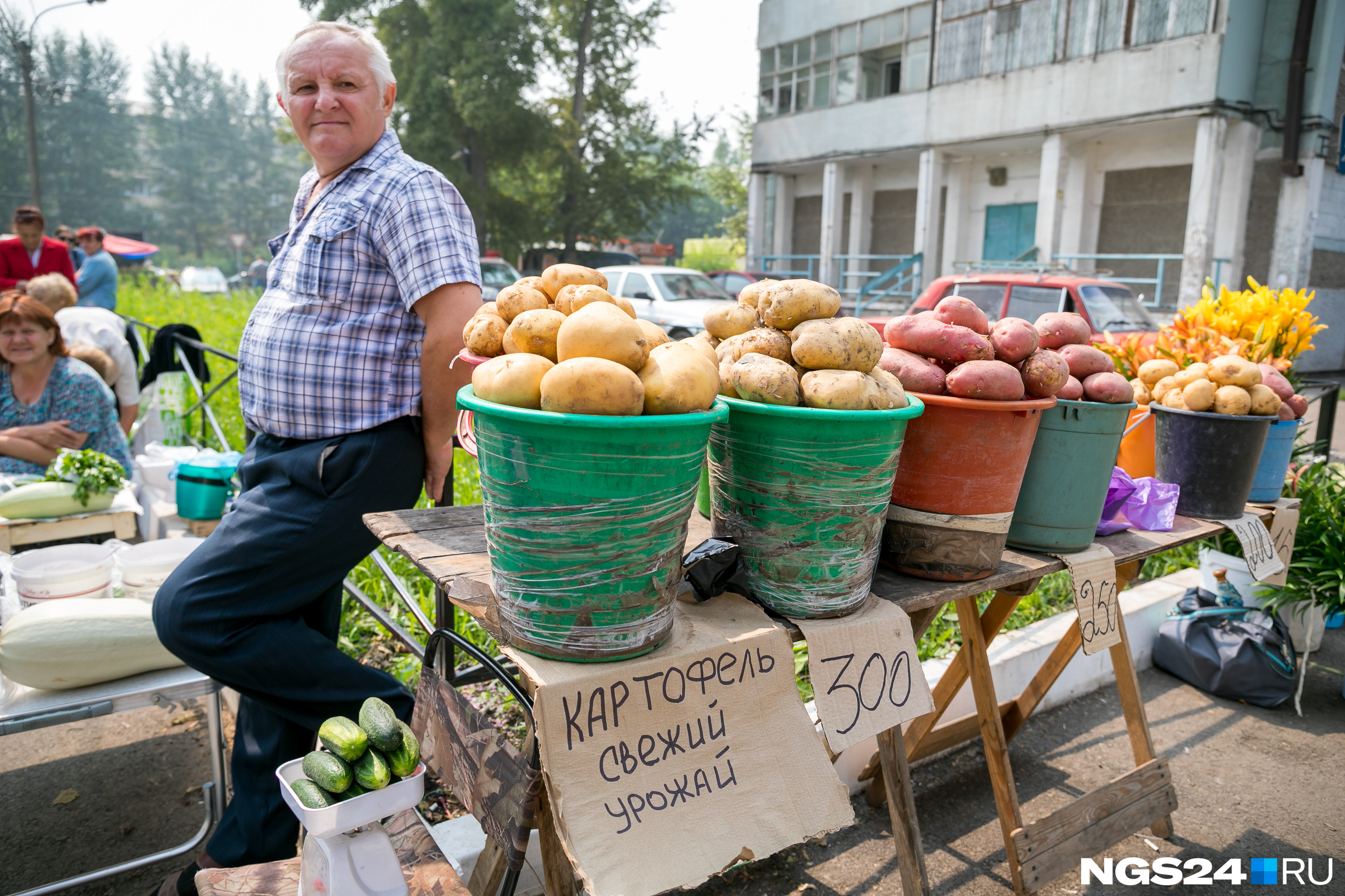 Ведро свежей картошки можно купить за 300 рублей Ведро свежей картошки можно купить за 300 рублей