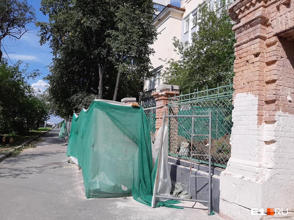 Всего собираются спилить сто деревьев и выкорчевать корни Всего собираются спилить сто деревьев и выкорчевать корни