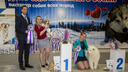 В Новосибирске прошла выставка для влюблённых в собак — её посетило полтысячи человек
