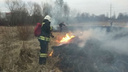 Огонь перекинулся на деревья: в Ярославле поймали поджигателя травы