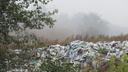 Макушинский район должен до 2020 года придумать, куда вывозить мусор