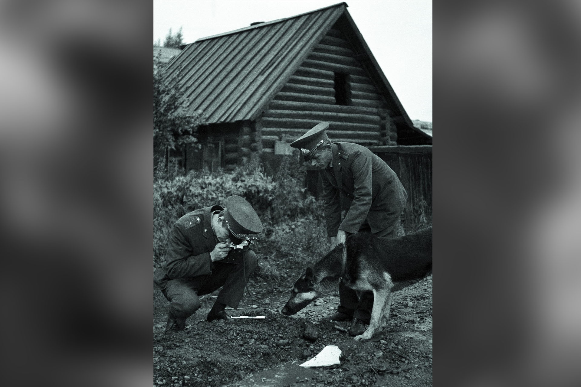 Розыскное фото. Народный следователь 1920. НКВД розыск. История уголовного розыска. НКВД В живописи.