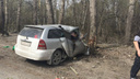 Молодой
водитель «Тойоты» разбился насмерть о дерево