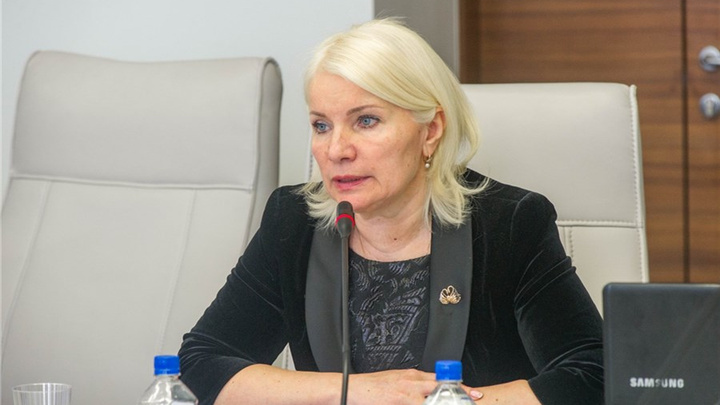 Уволенная после скандала с лесом ревизор Давыденко подала в суд на красноярских депутатов