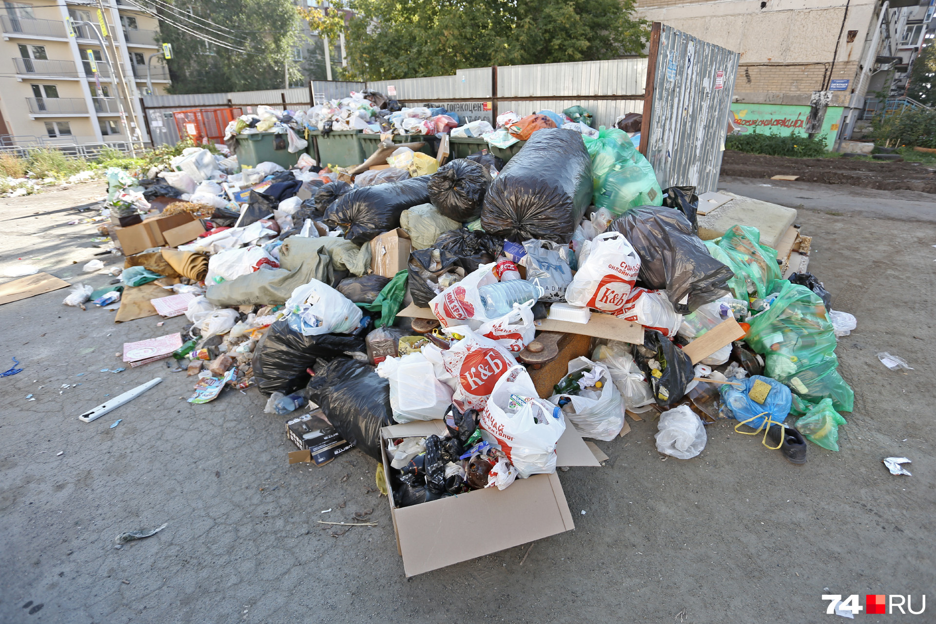 Подойти к площадкам жителям просто невозможно — мусор бросать приходится уже за несколько метров до баков