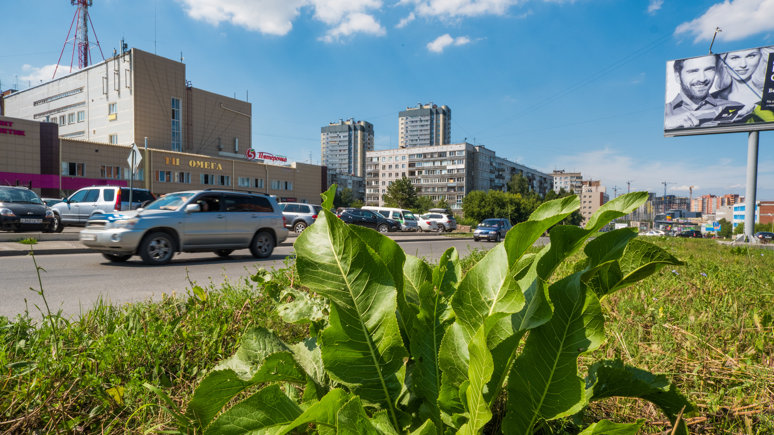 Улица Кошурникова: последние новости на сегодня, самые свежие сведения |  НГС.ру - новости Новосибирска