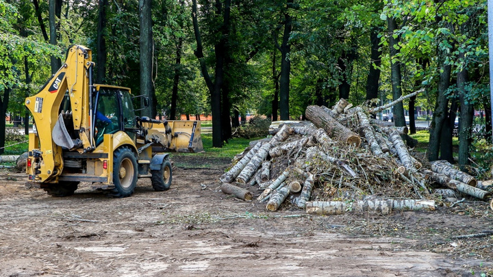В центре Нижнего Новгорода планируется вырубить деревья за полмиллиона рублей
