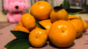 Город обжор: Новосибирск вошел в топ-5 регионов, где очень любят мандарины