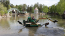 «Вылавливаем даже урны»: в челябинском парке впервые за 18 лет начали чистить карьер