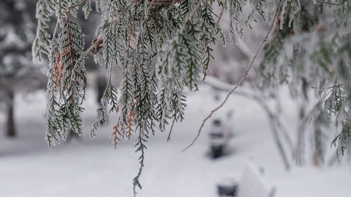 Небольшой снег и слабый ветер: рассказываем о погоде в Прикамье в новогодние каникулы