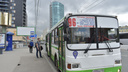 В Новосибирске появился бесплатный Wi-Fi в автобусах: скоро сеть будет на улицах и в парках