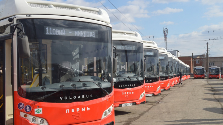 В Пермь поставили всю партию новых автобусов Volgabus