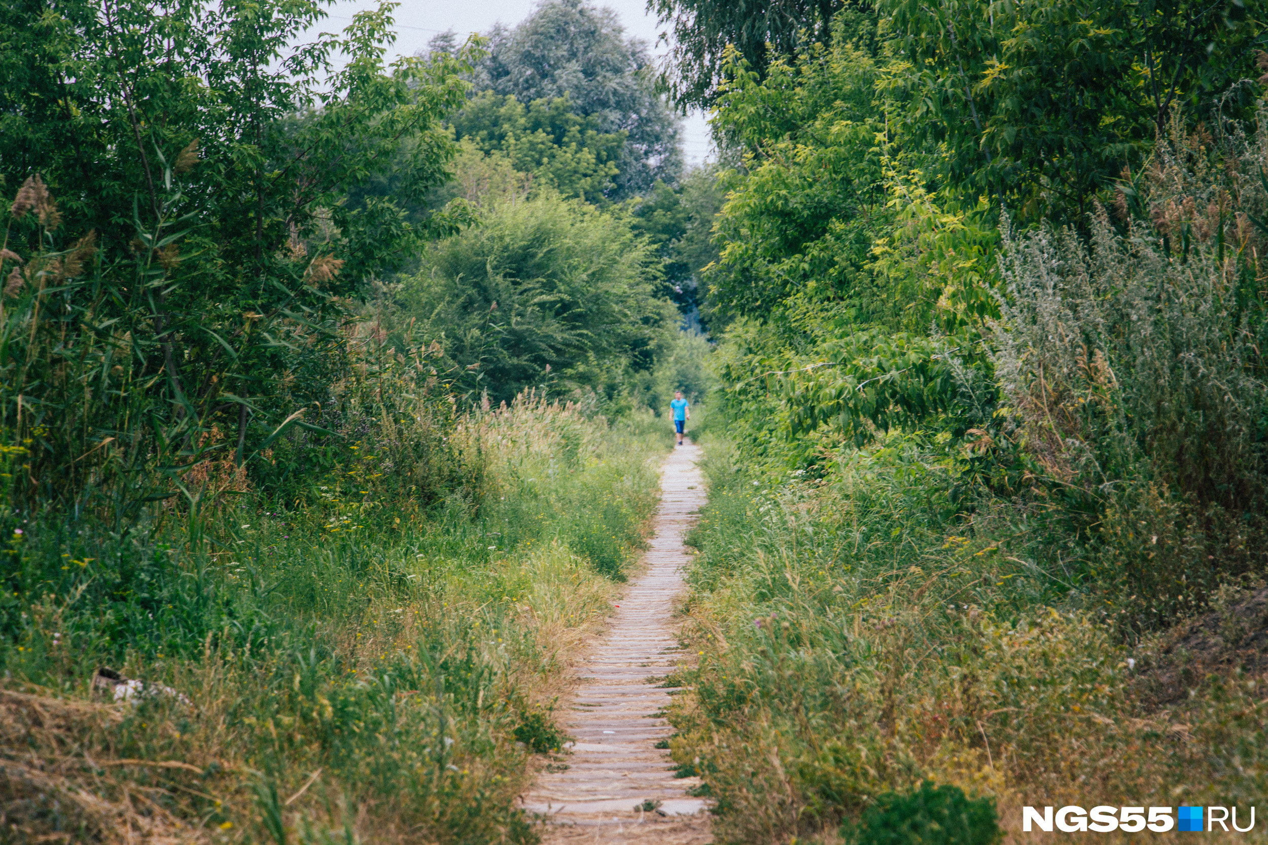 Живописная деревня. Дуброво-солнечное. Афоризмы про деревню. Стихи про деревню. Градобить тверская область.