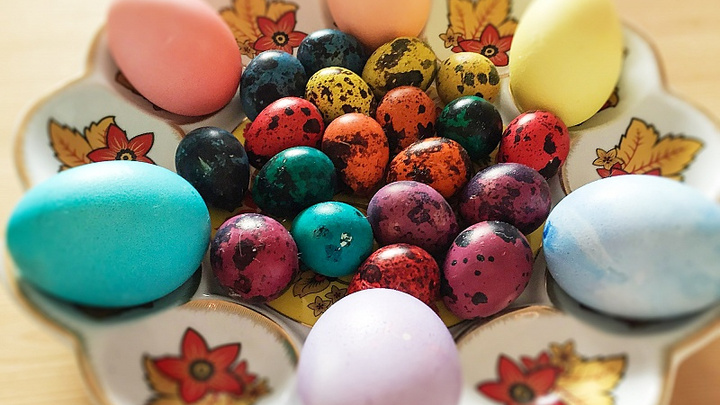 Собери все яйца вместе: тест на внимательность от 74.ru