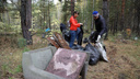В Зауралье от мусора очистили 70 гектаров леса вдоль дороги Курган — Екатеринбург