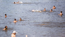 В разгар жары власти запретили ярославцам купаться
