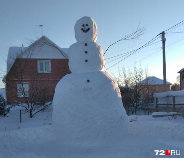 9 января по сказочному календарю отмечают День рождения снеговика.