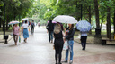 Похолодание и дожди ожидаются на этой неделе в Ростове