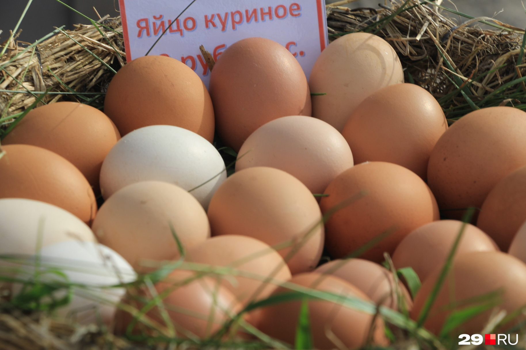 Нет бесполезных яиц — есть странные мифы