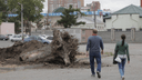 «Вы попали под обстрел»: мэр Челябинска потребовала объяснить, зачем возле «Родины» спилили деревья