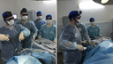 В Кургане провели 3D-операцию на желудке собаки в прямом эфире