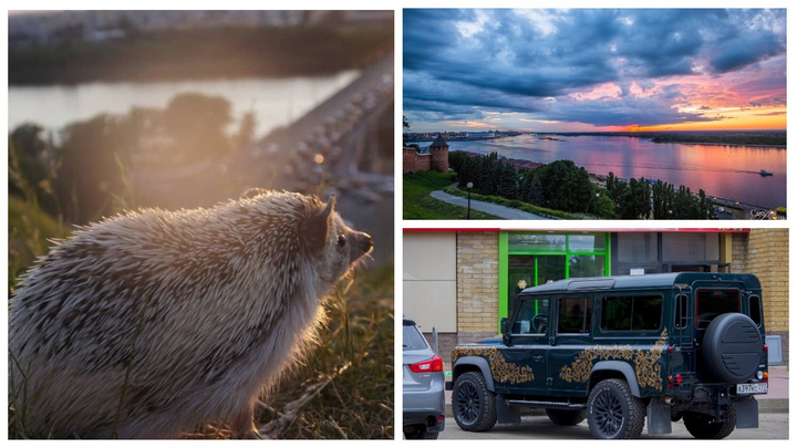Ёжик-стражник, автохохлома и охота на закаты: лучшие снимки недели от нижегородских фотографов