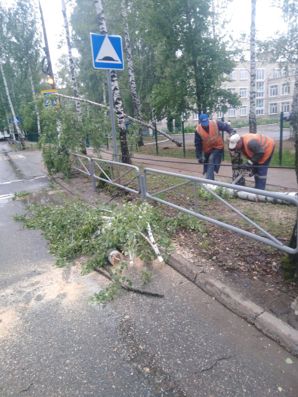 В Чайковском уже начали убирать деревья