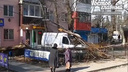 В Ростове упавшие деревья разбили три машины