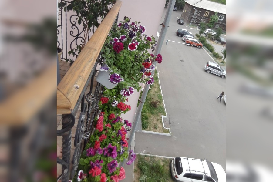 «Лучший балкон/лоджия» — Жердева Екатерина Олеговна, жительница дома по улице Академика Вавилова, 33