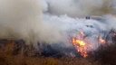 В Новосибирске жители частного сектора четыре дня задыхаются от сильного пожара на свалке