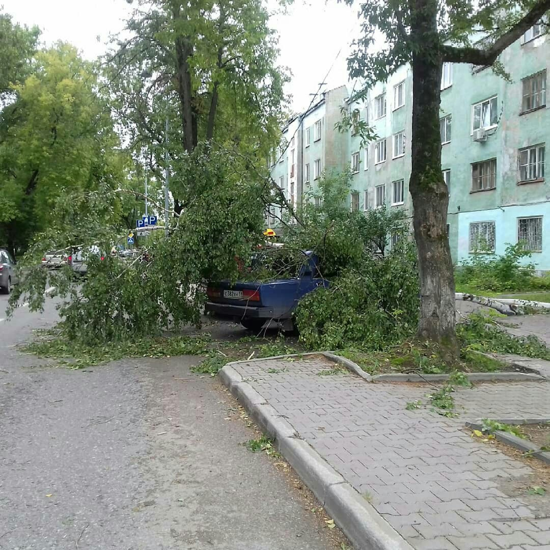 Дерево упало на классику на Комсомольском проспекте 