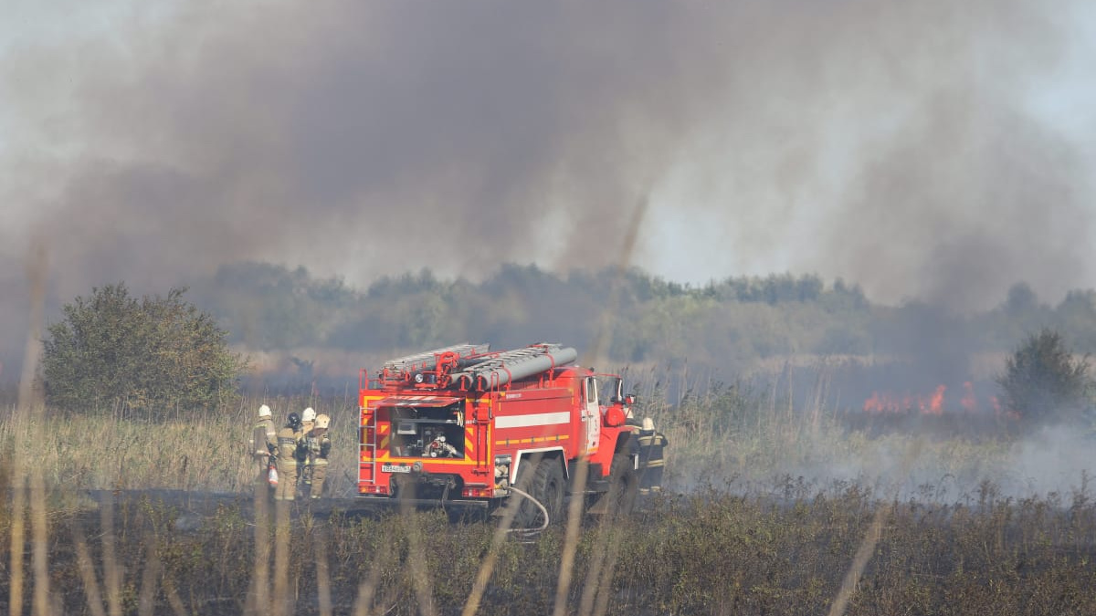 Рядом с «Мегамагом» начался ландшафтный пожар: рассказываем подробности в режиме онлайн