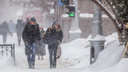 МЧС предупредило новосибирцев об ухудшении погоды: мокрый снег и метели