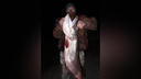 «Перепутал рыбу с бревном»: в Самарской области рыбак поймал щуку весом 11 кг