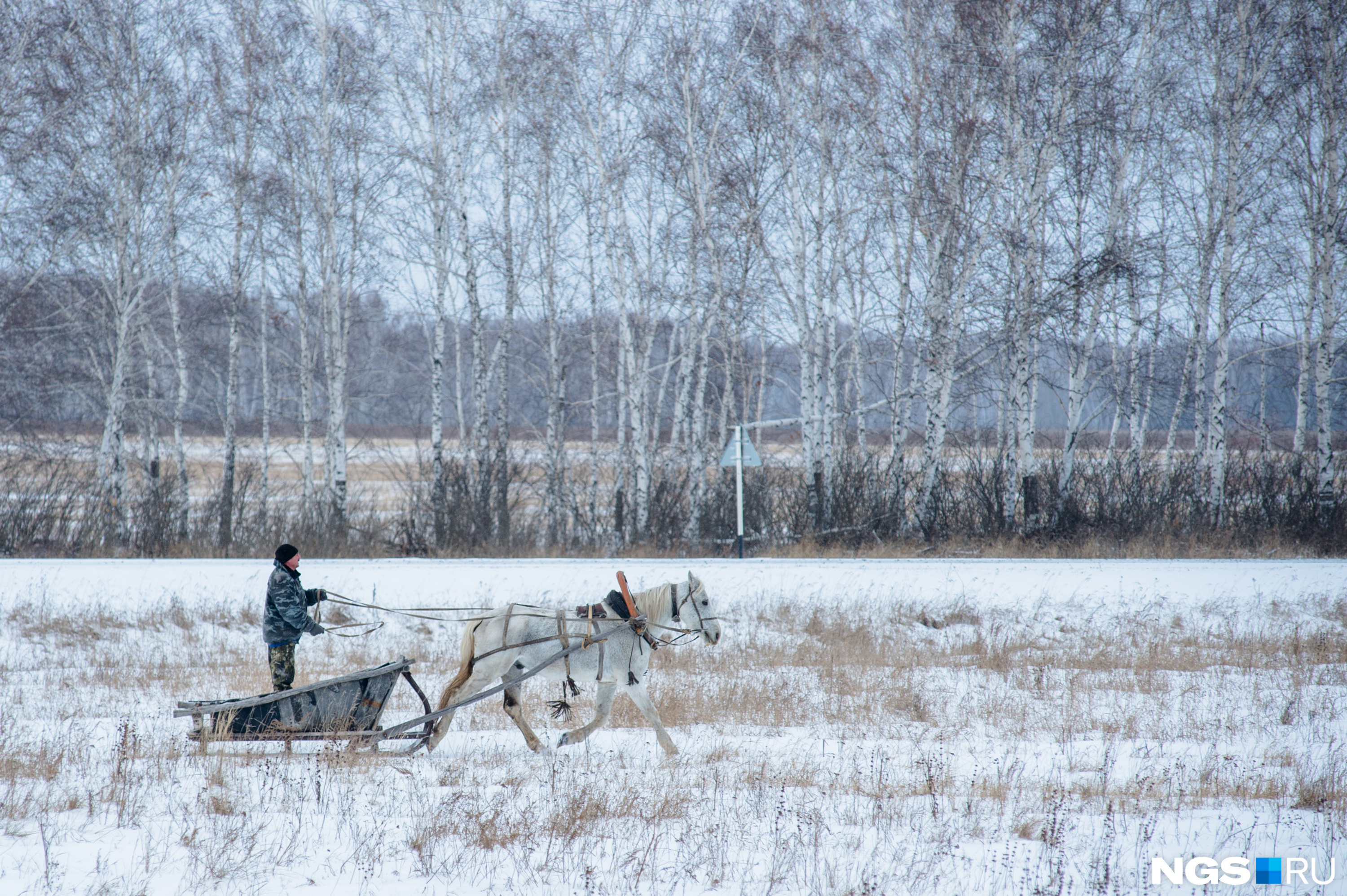 Погода в лотошном