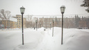 Морозы отступят: в Новосибирскую область идет короткое потепление